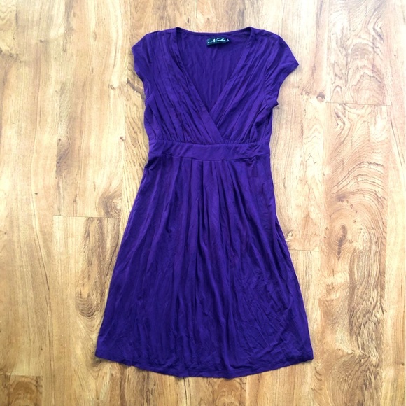 Neesha Dresses & Skirts - Neesha Purple Dress
